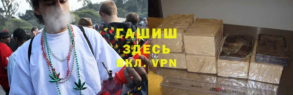 сатива Алексеевка