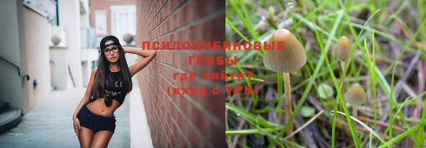 трава Алзамай
