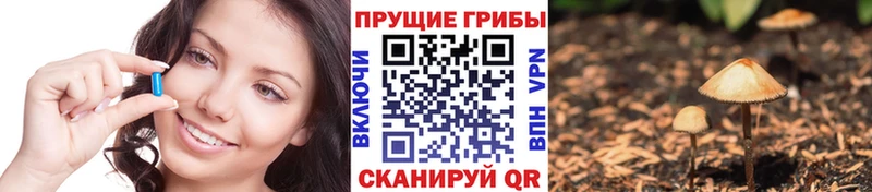Галлюциногенные грибы Magic Shrooms  Николаевск 